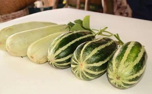 网红吃瓜视频2023,盘点年度热门事件与幕后真相